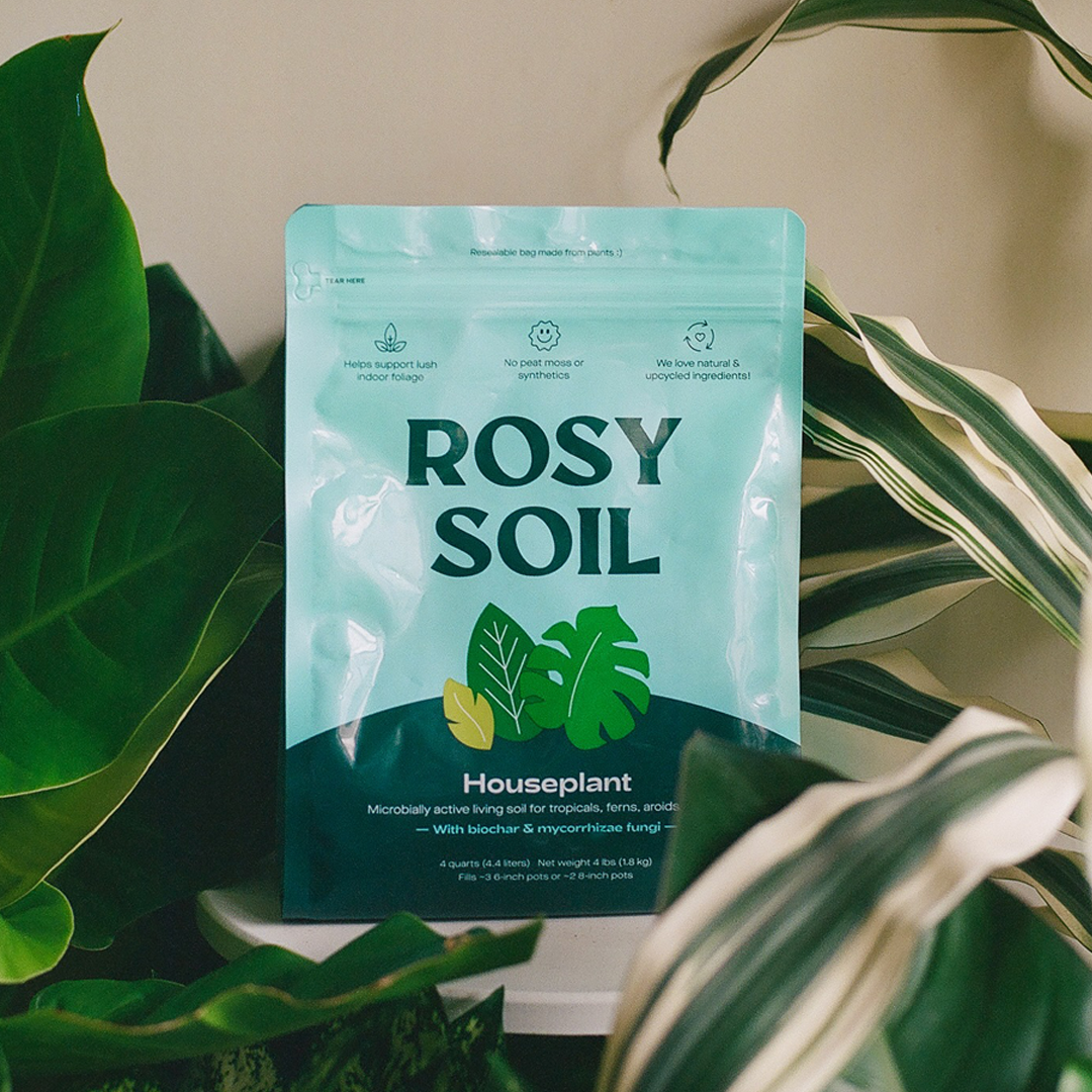 4qt Organic potting soil mix, indoor, houseplant & herbs