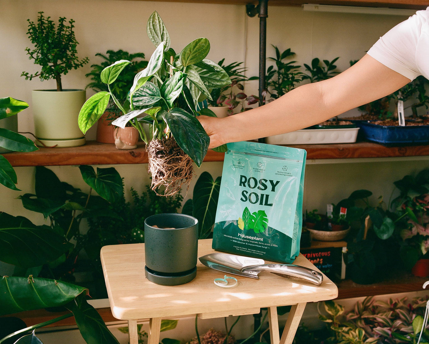8qt Organic potting soil mix, indoor, houseplant & herbs