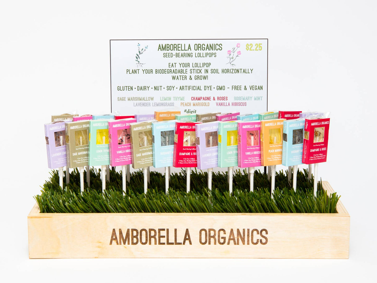 Blooming Lollipop Bundle (Eat, Plant & Grow a Herb/Flower)
