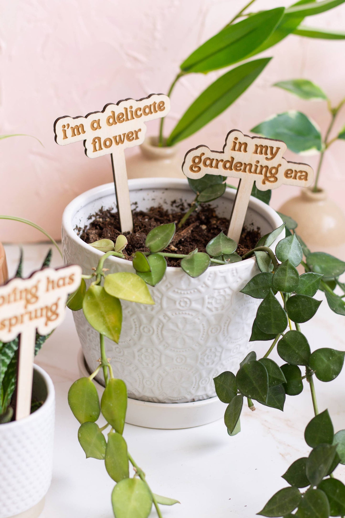 Funny Spring Wooden Plant Markers