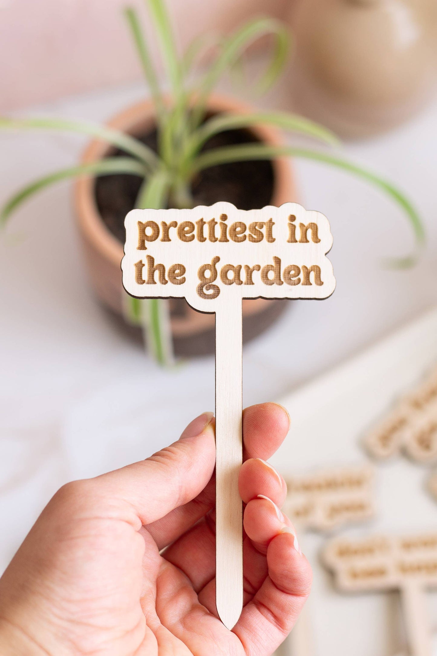 Funny Spring Wooden Plant Markers