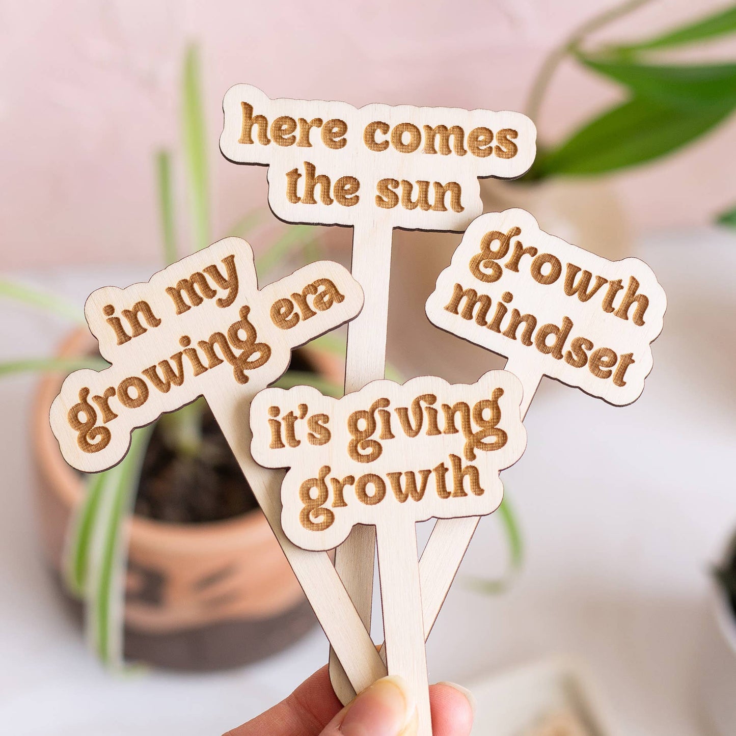 Funny Spring Wooden Plant Markers