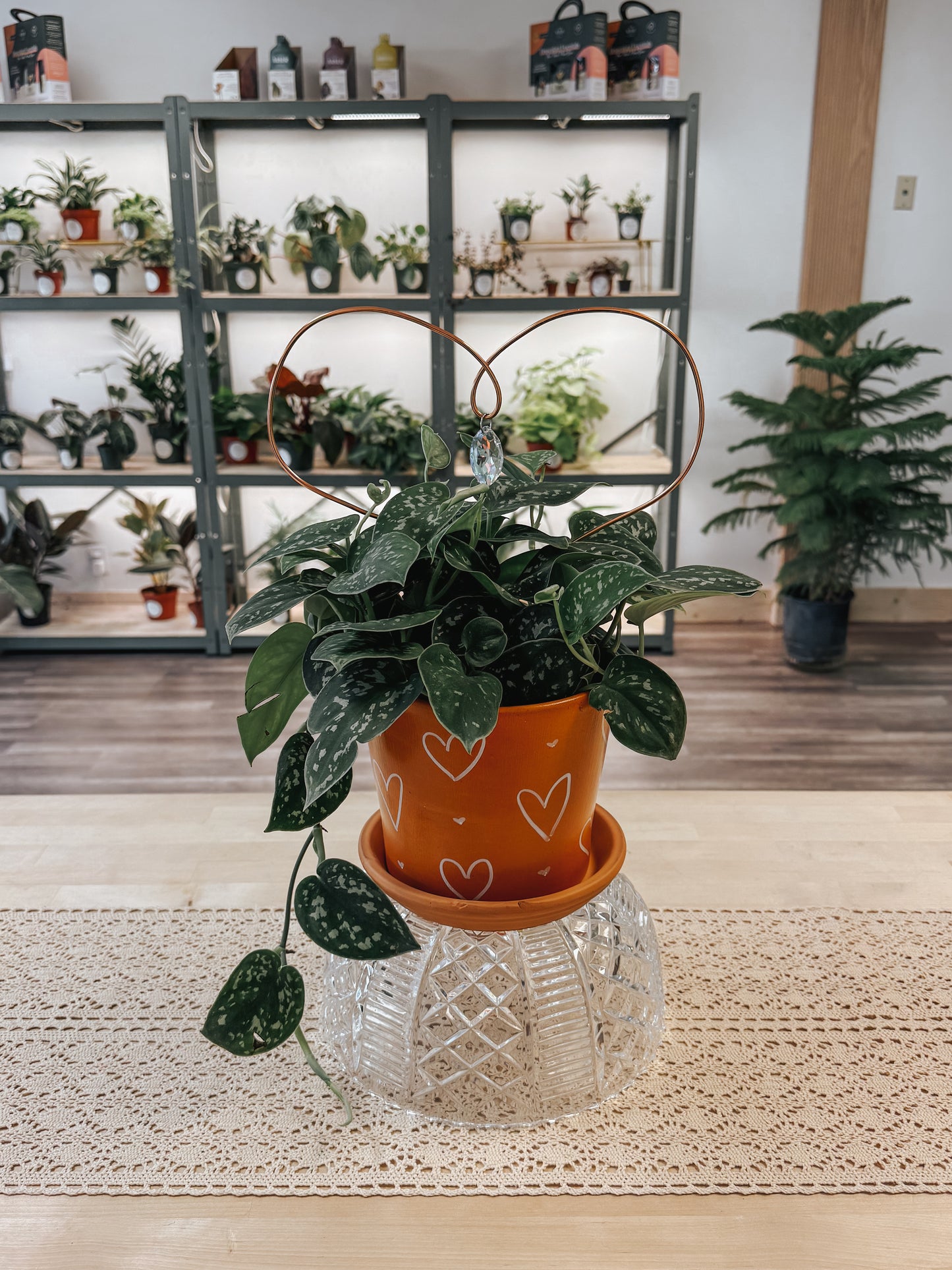 Valentine’s Day Painted Planter and Trellis Workshop 2/8 @ 4pm