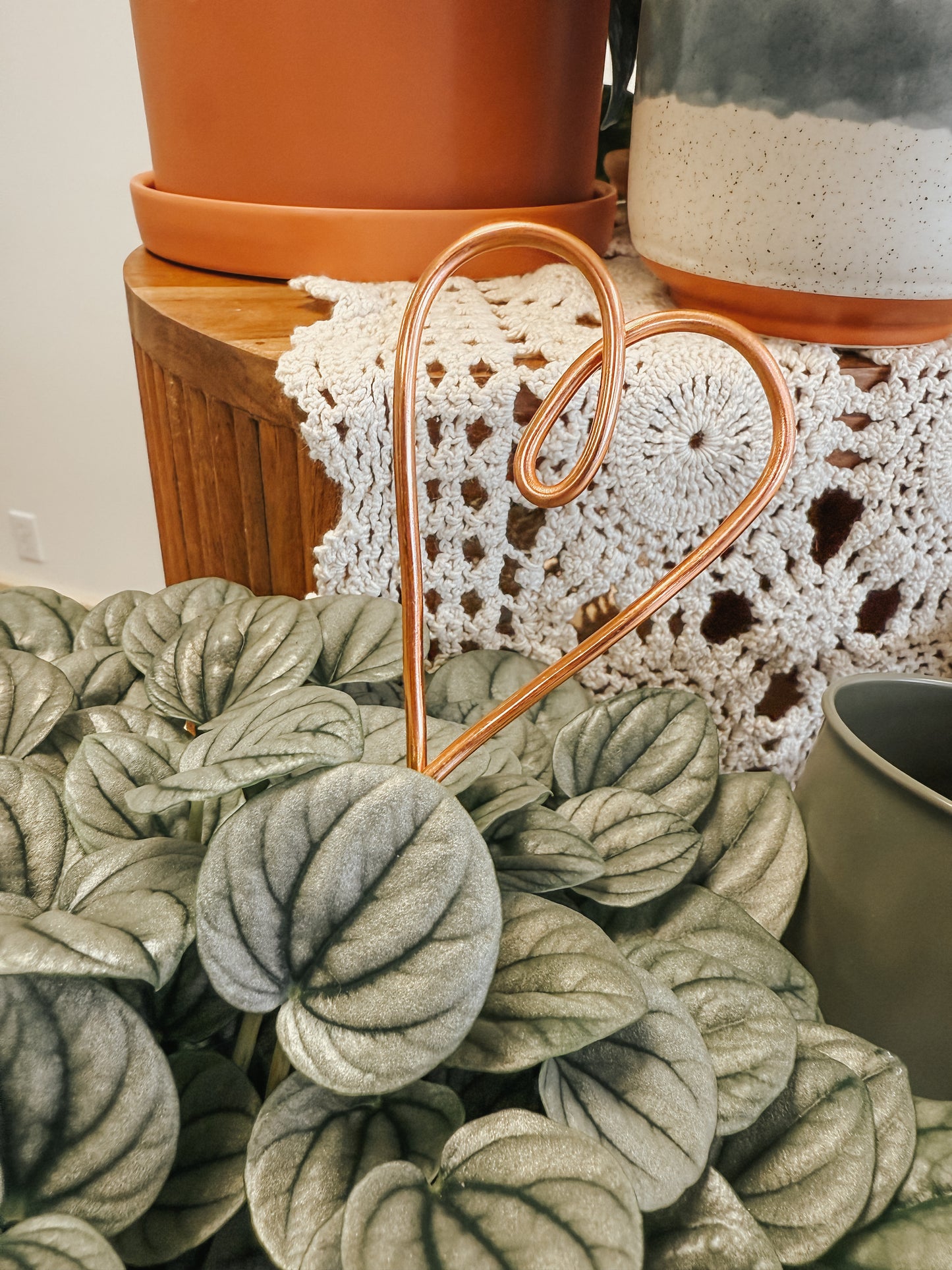Valentine’s Day Painted Planter and Trellis Workshop 2/8 @ 4pm