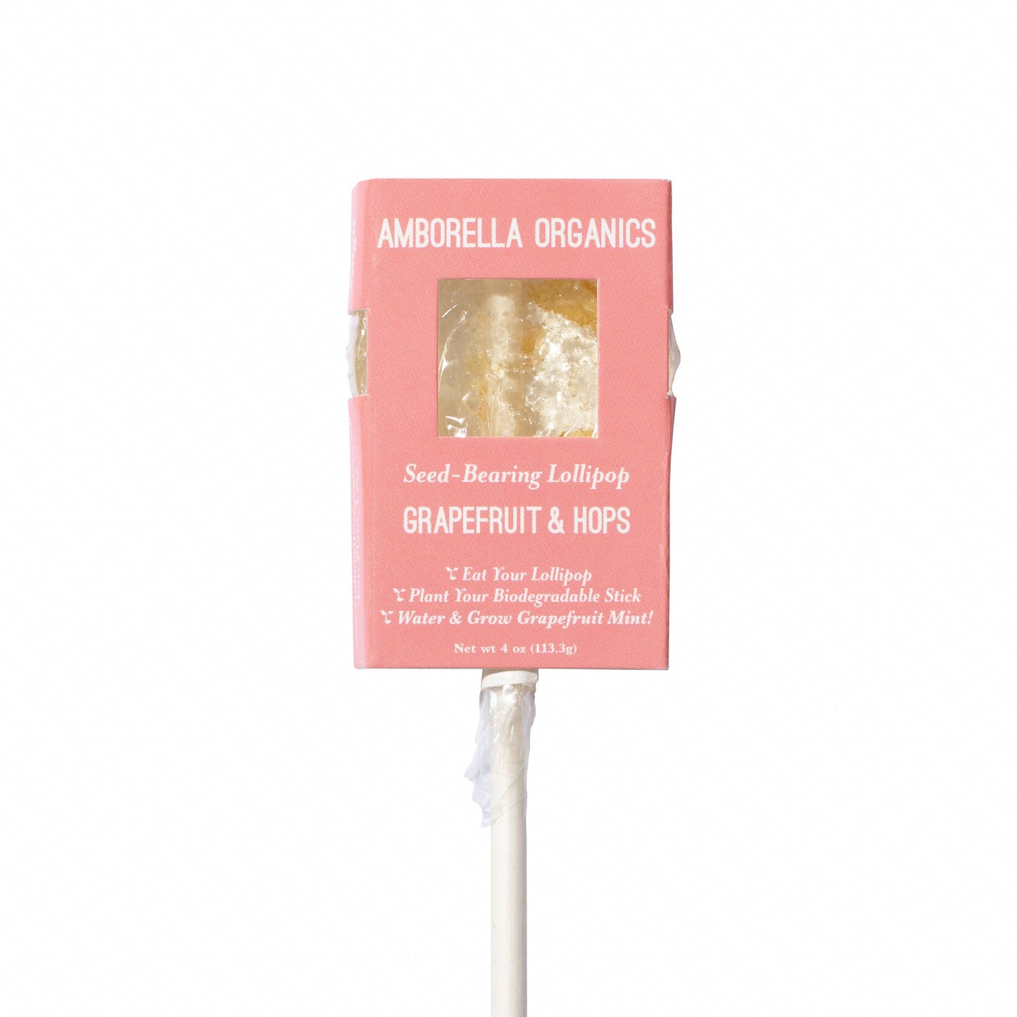 Blooming Lollipop Bundle (Eat, Plant & Grow a Herb/Flower)