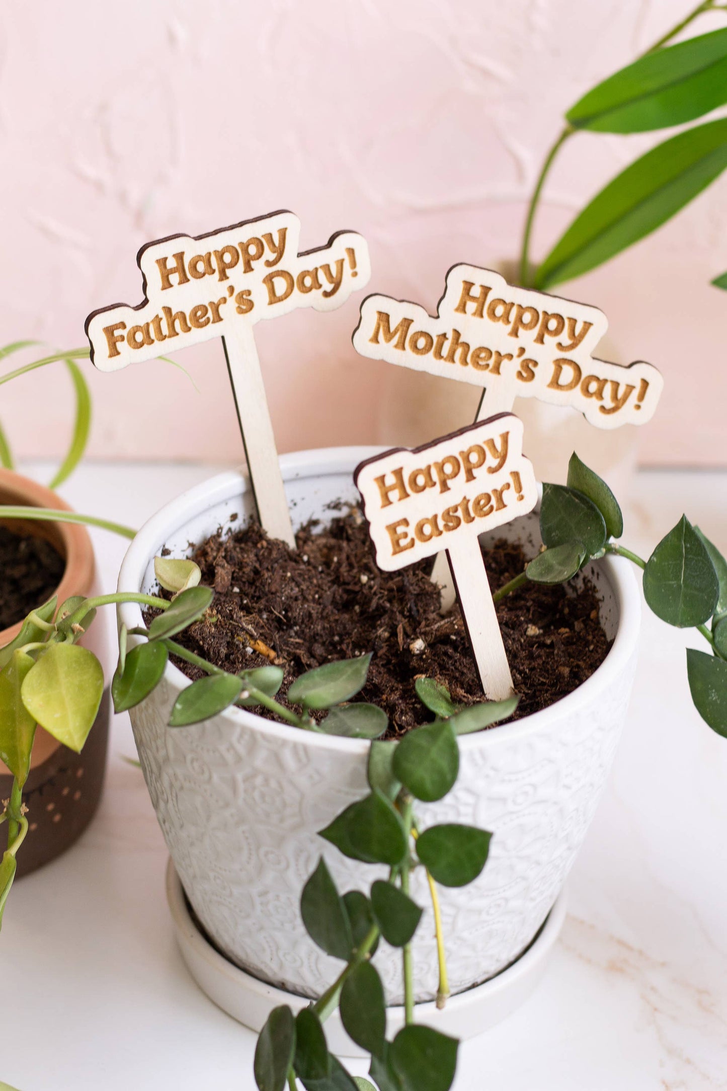 Funny Spring Wooden Plant Markers