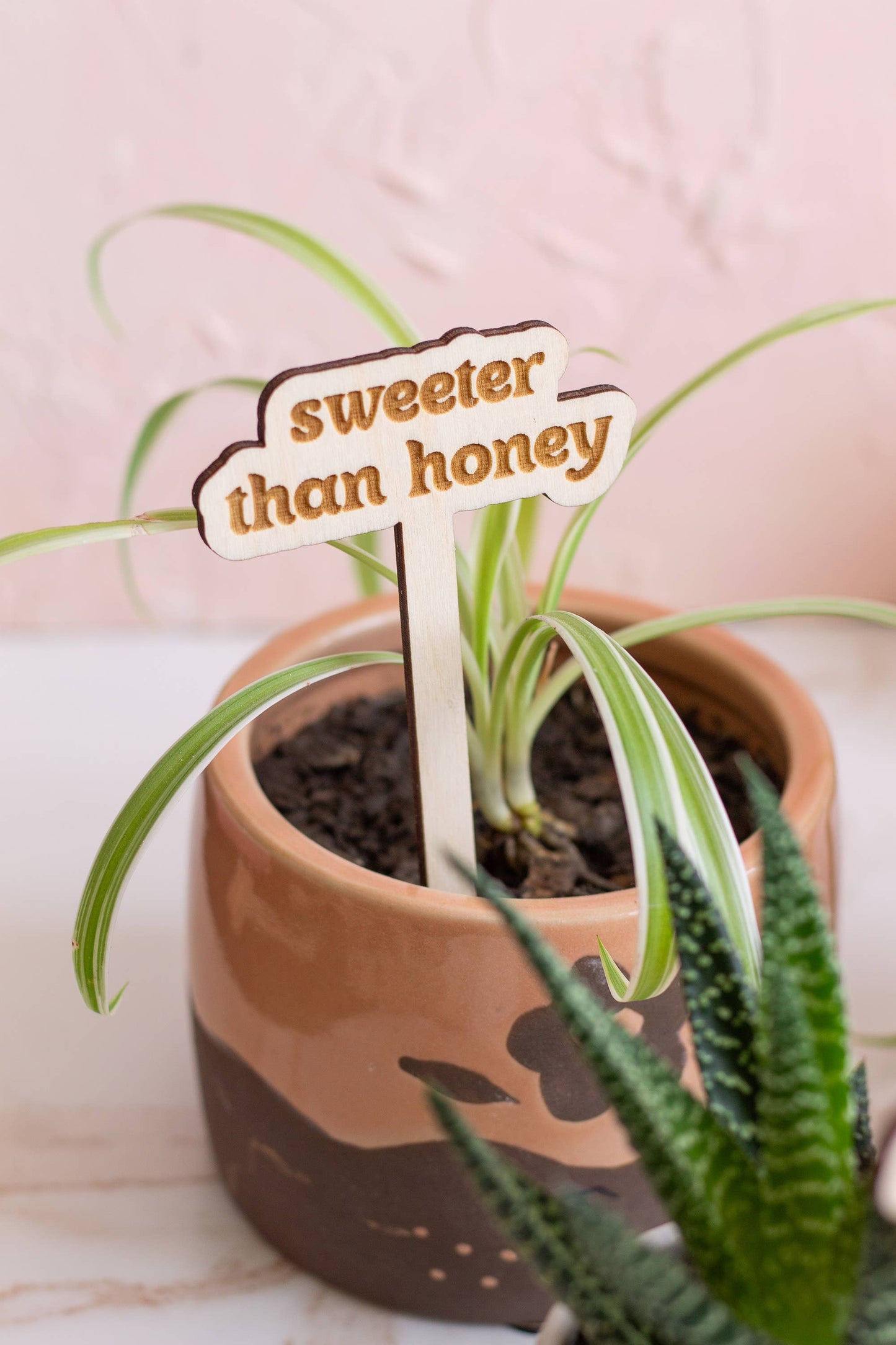 Funny Spring Wooden Plant Markers