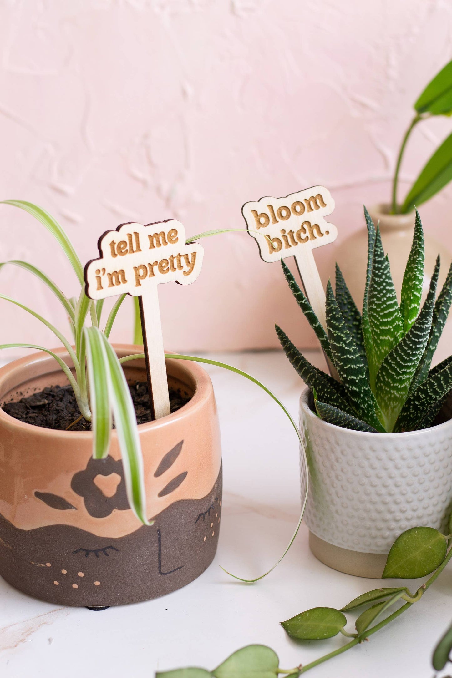 Funny Spring Wooden Plant Markers