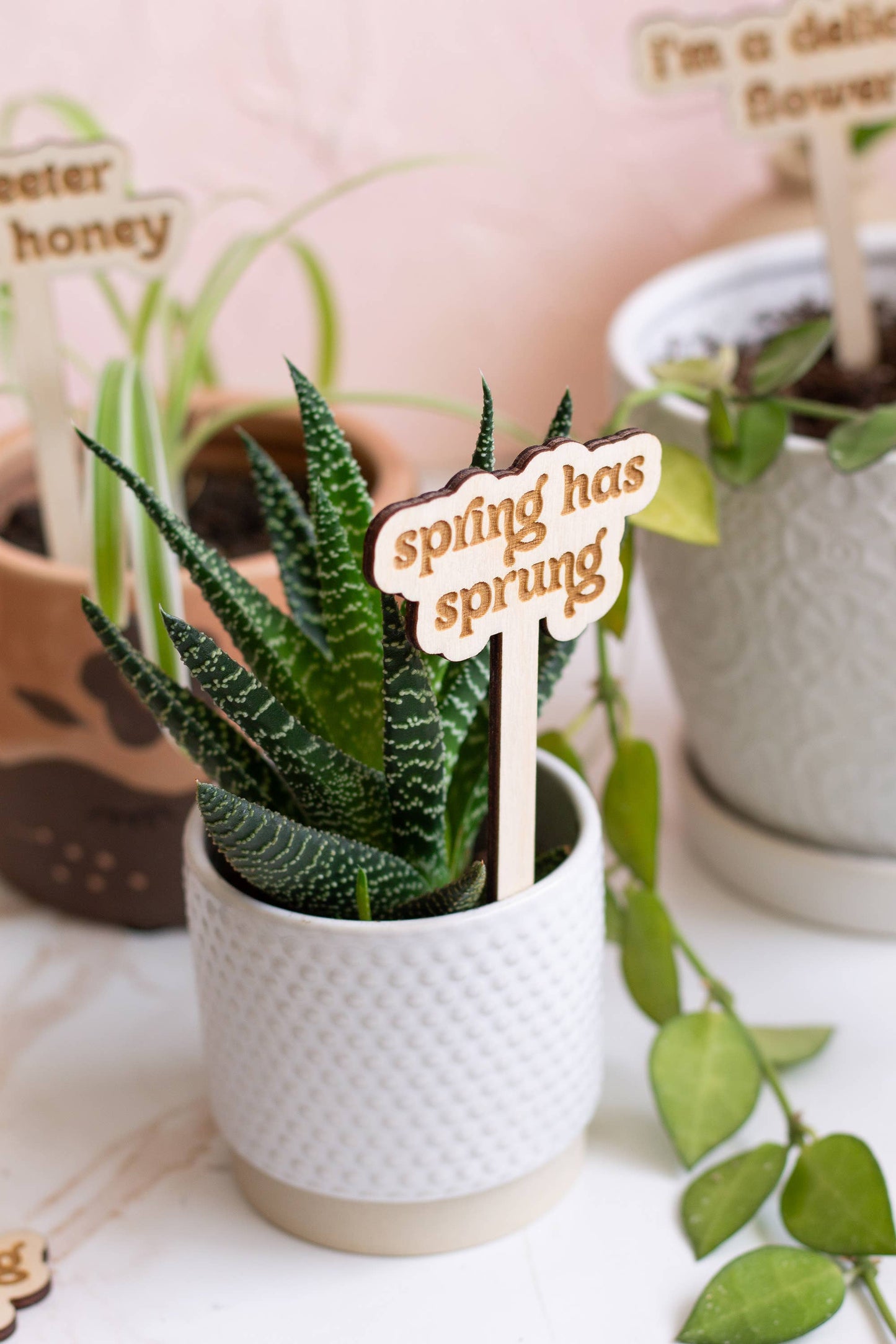 Funny Spring Wooden Plant Markers