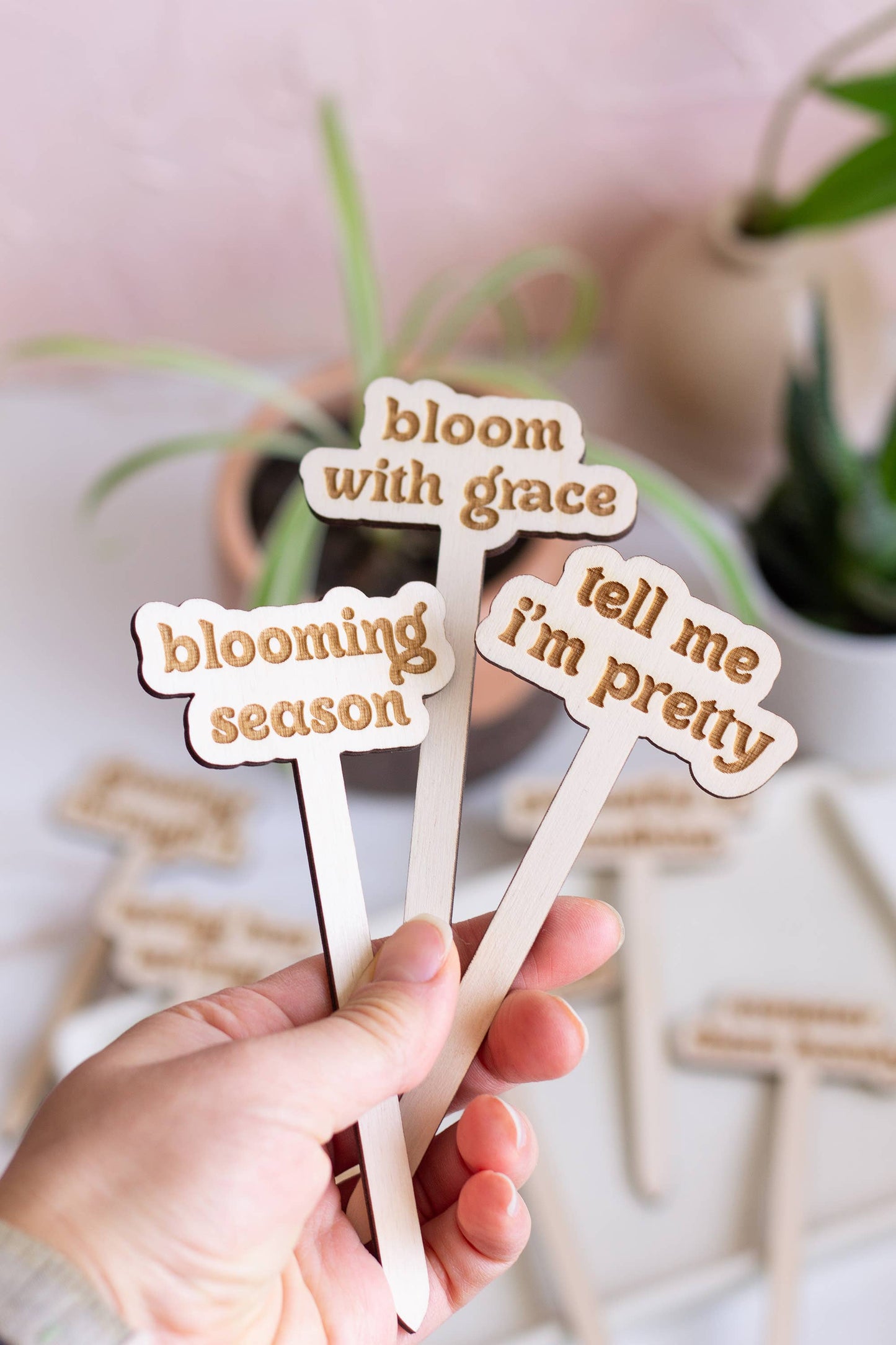 Funny Spring Wooden Plant Markers