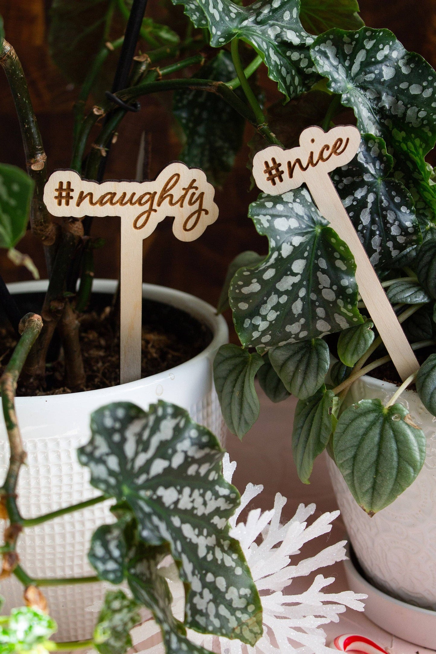 Funny Christmas Wooden Plant Markers