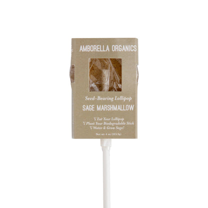 Blooming Lollipop Bundle (Eat, Plant & Grow a Herb/Flower)