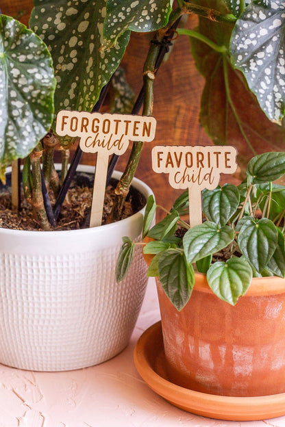 Funny Script Wooden Plant Markers
