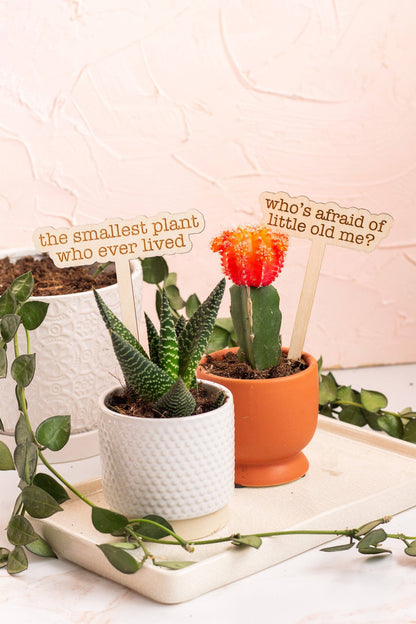The Tortured Plants Department Plant Markers