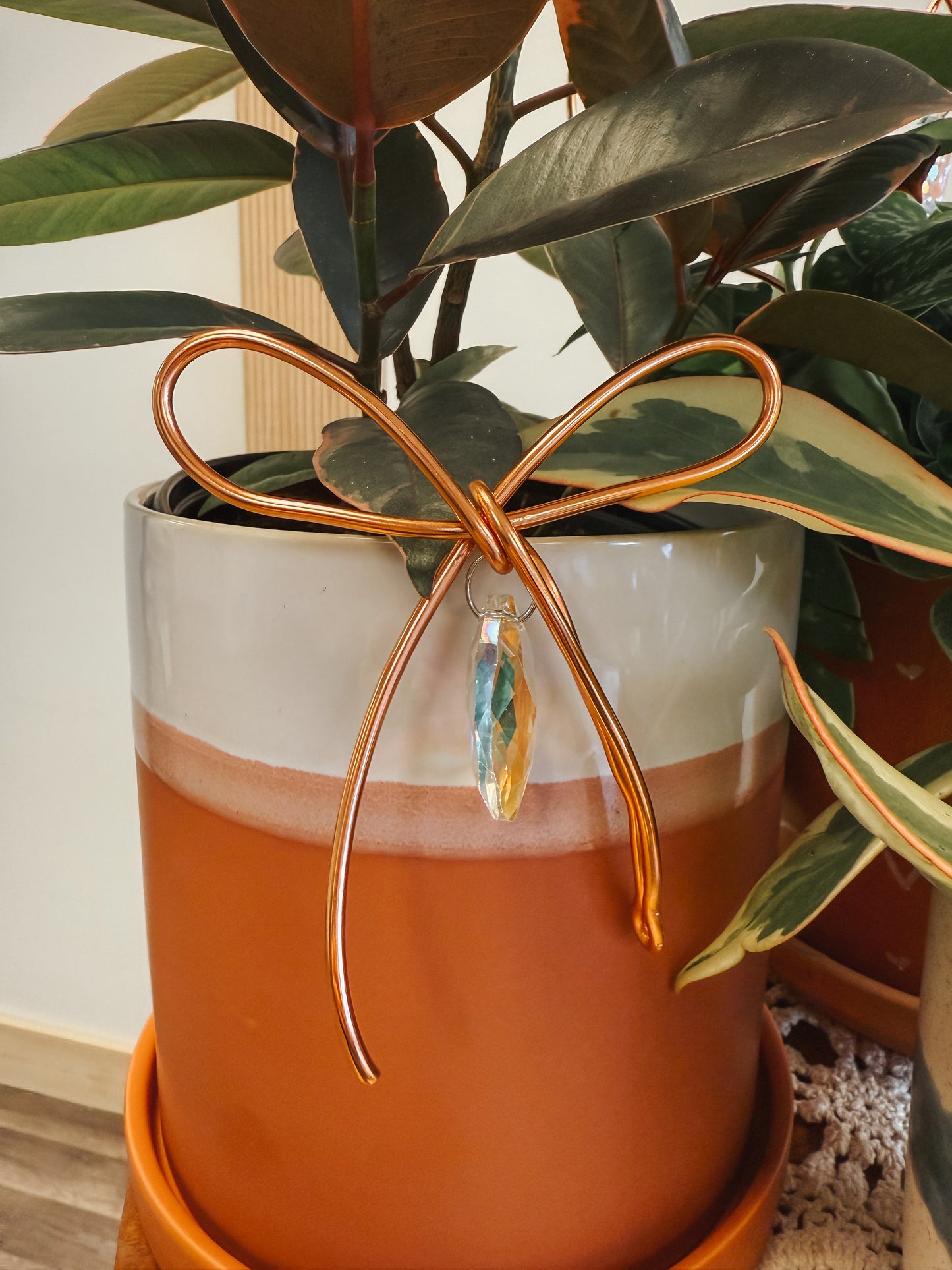 Valentine’s Day Painted Planter and Trellis Workshop 2/8 @ 4pm