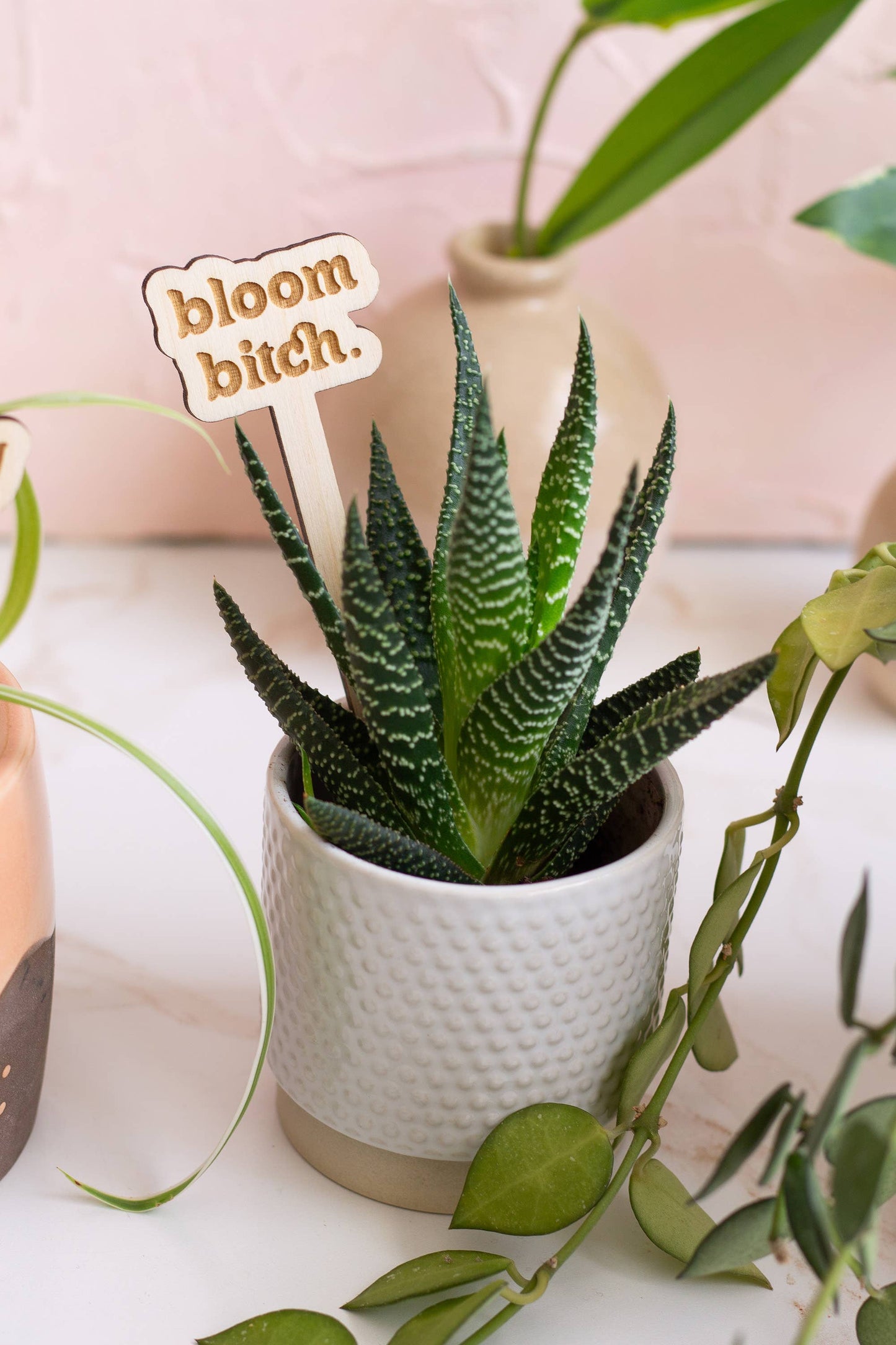 Funny Spring Wooden Plant Markers