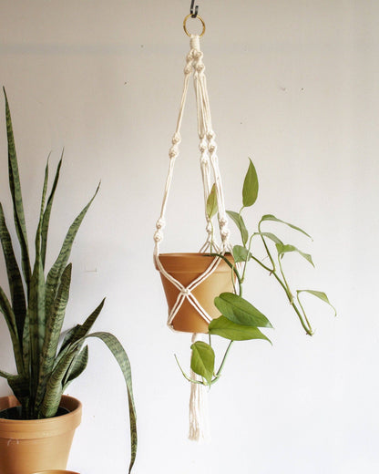 Simple Twist Macrame Plant Hanger