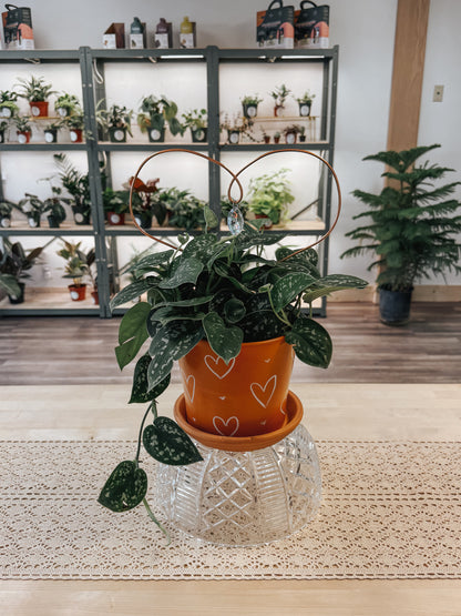 Valentine’s Day Painted Planter and Trellis Workshop 2/8 @ 4pm