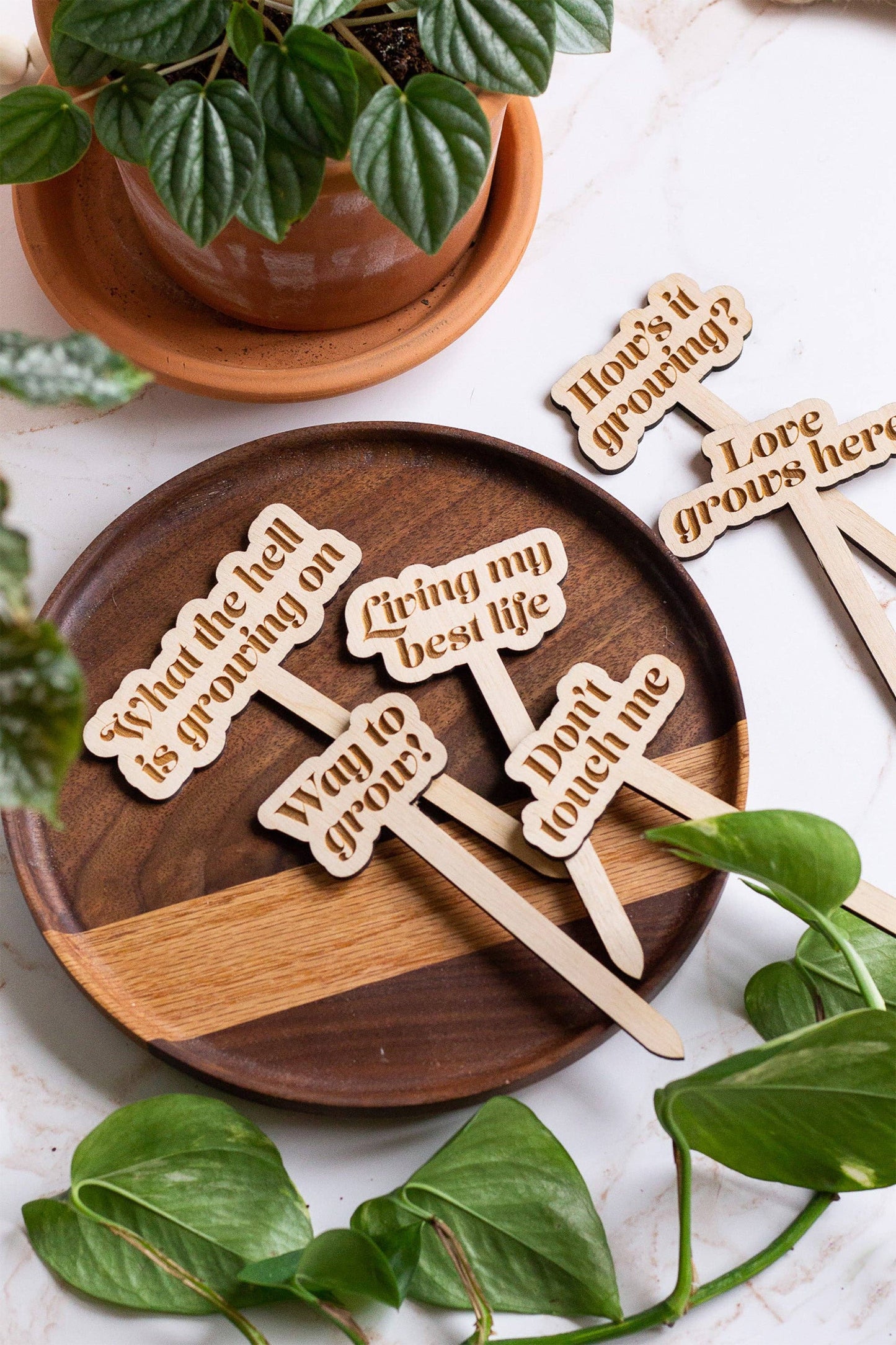 Funny Wooden Plant Markers