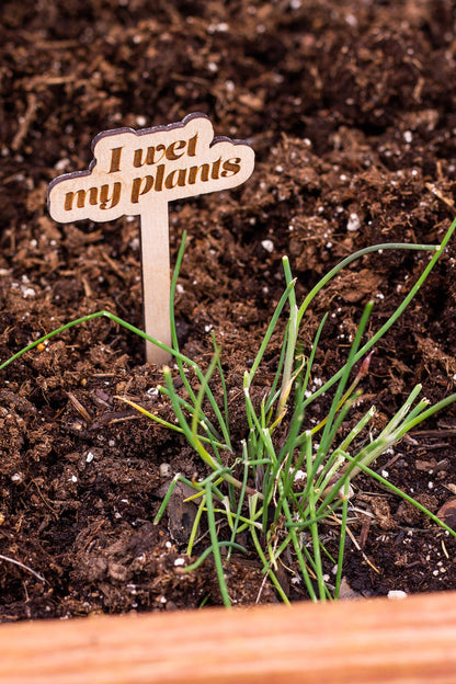 Funny Wooden Plant Markers