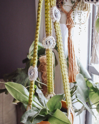 Disco Daisy Plant Hanger