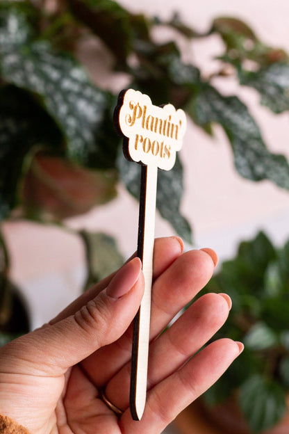 Funny Wooden Plant Markers