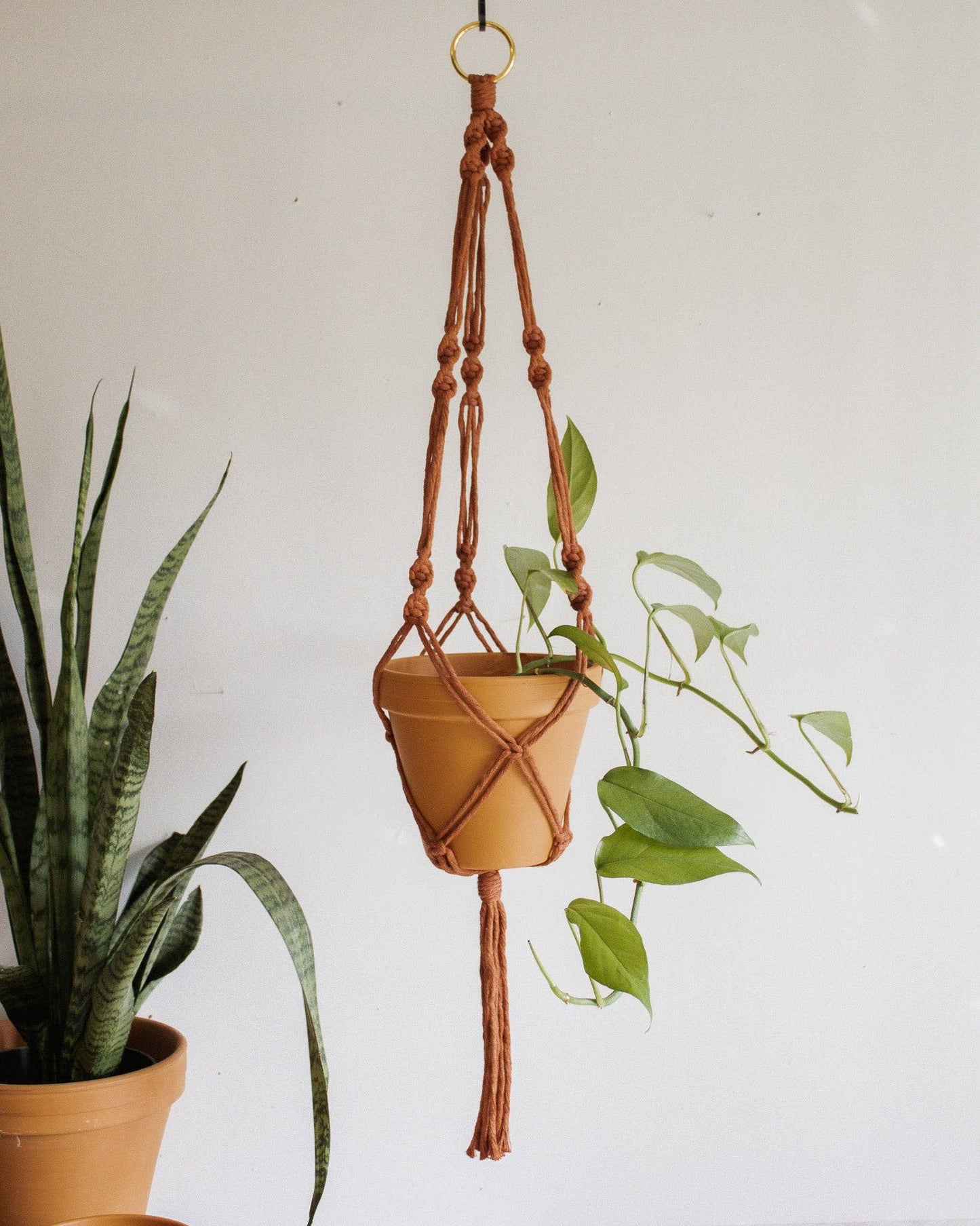 Simple Twist Macrame Plant Hanger