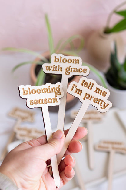 Funny Spring Wooden Plant Markers